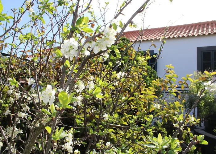 Dom wakacyjny Casa Da Ponta Ponta do Pargo