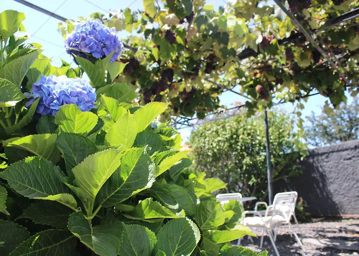 Casa Da Ponta Ponta do Pargo