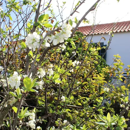 Дом отдыха Casa Da Ponta Понта-ду-Паргу