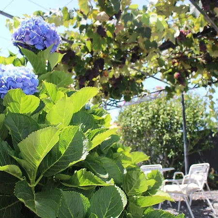 Casa Da Ponta Понта-ду-Паргу