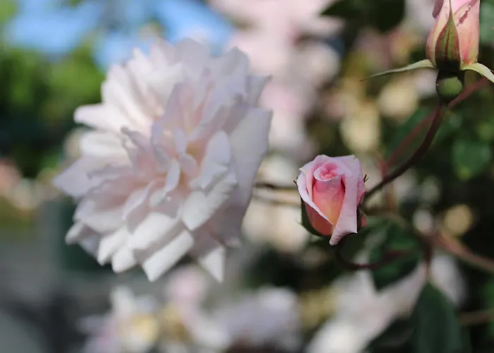 Casa Da Ponta Понта-ду-Паргу